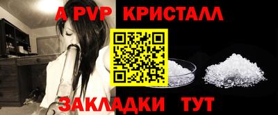 стаф Обнинск