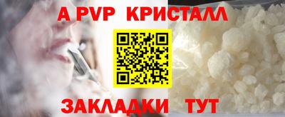 стаф Обнинск