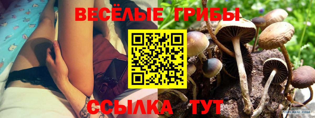 Рославль  Галлюциногенные грибы мицелий  Вход с VPN 